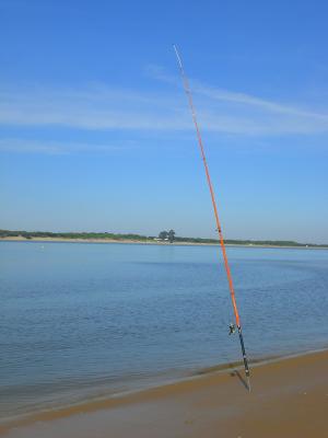 Día de pesca